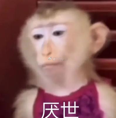 我服了我怎么天天付费上班