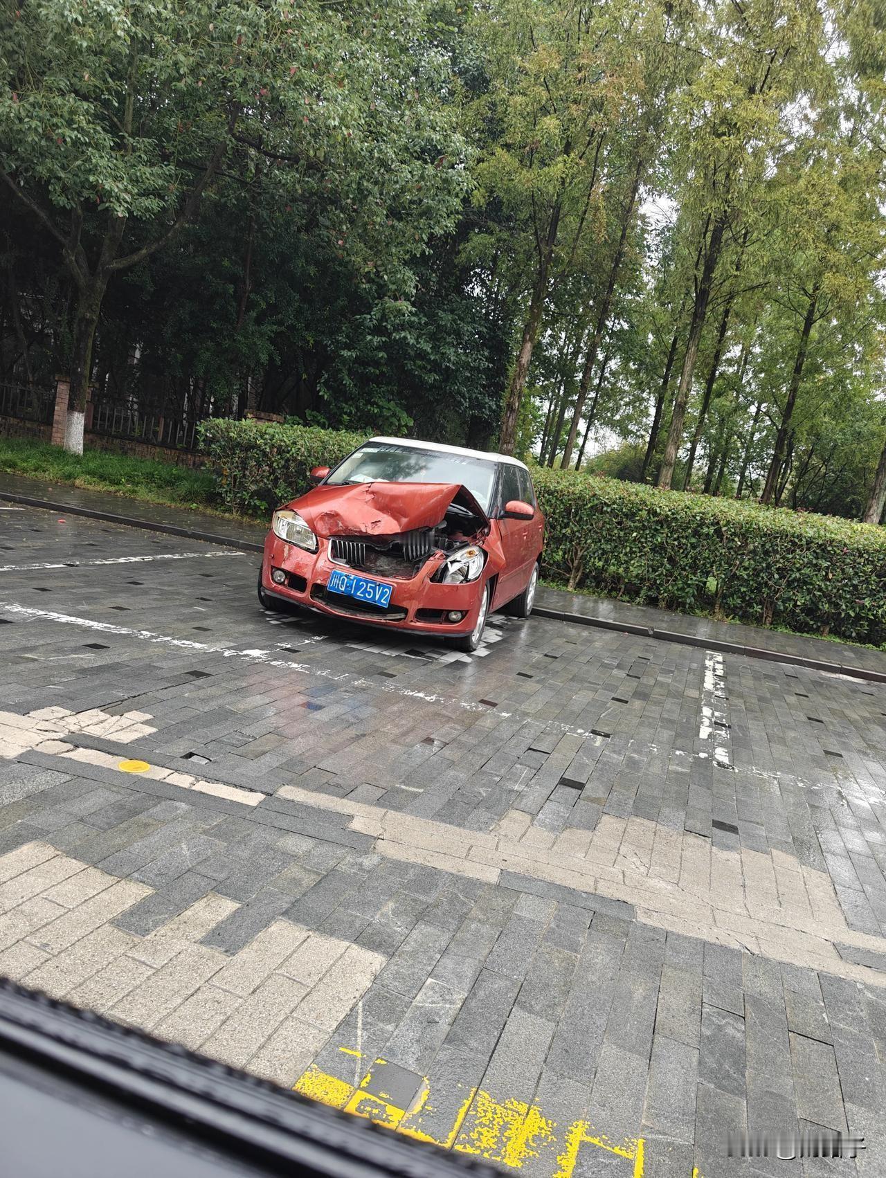 悲催的车，悲惨的车主。这车停快一年了，是不是只有过年的时候车主才能想起他，就怕知