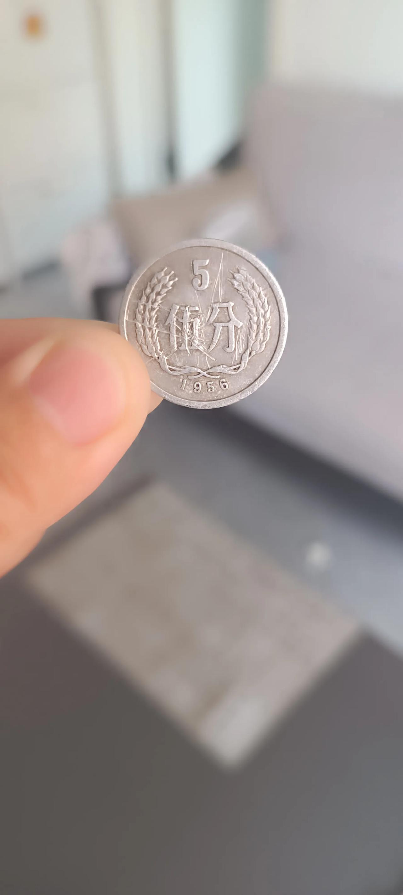 这可是老物件了！谁家还有？这枚5分硬币是我今天收拾柜子找到的，最早发行于1956