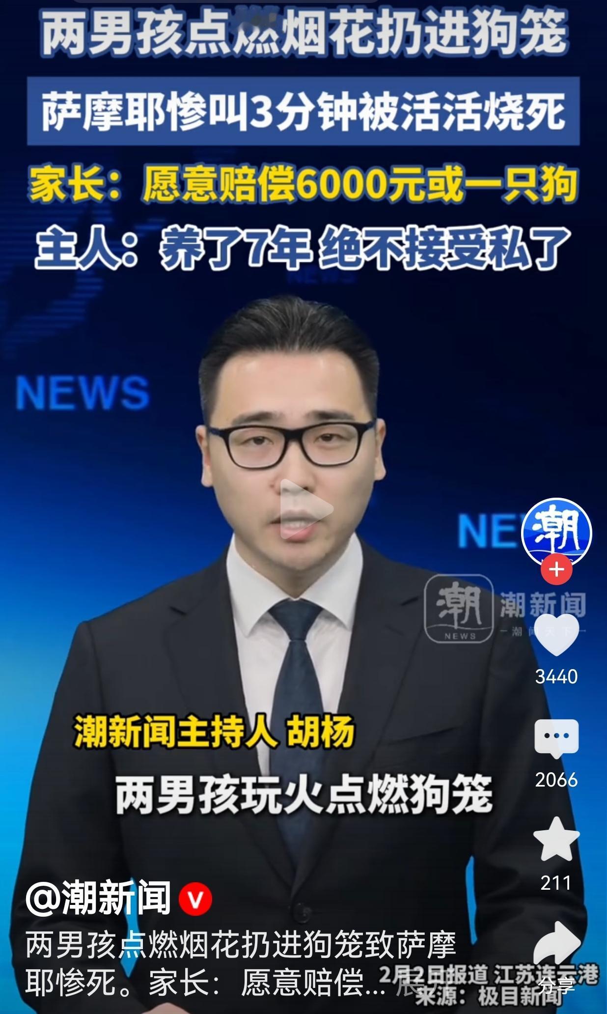 这孩子就是欠教育！必须好好教育教育他们，让他们俩长长教训！两个男孩竟然把烟花扔进