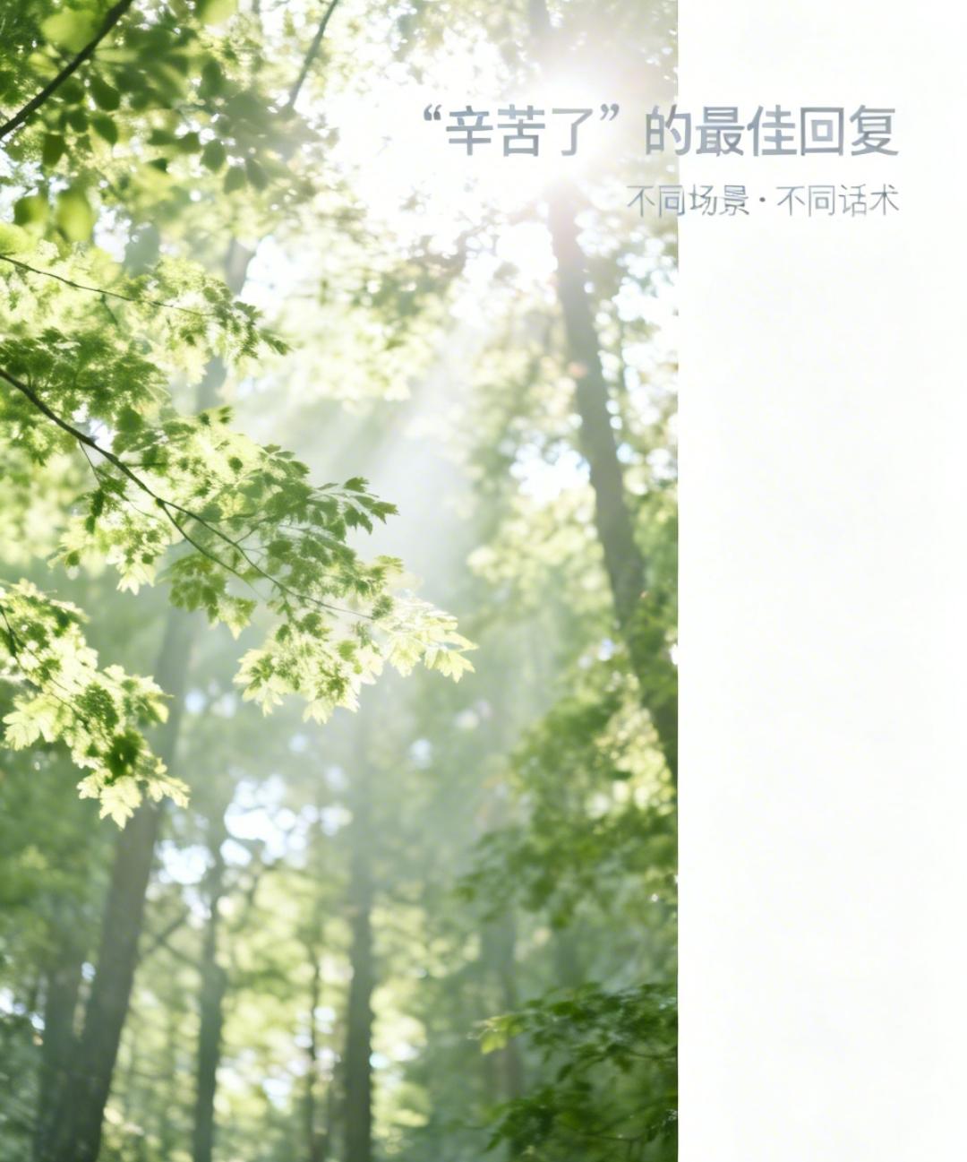 发现了辛苦了这句话的最佳回复火了！“辛苦了”的最佳回复，建议收藏网上热