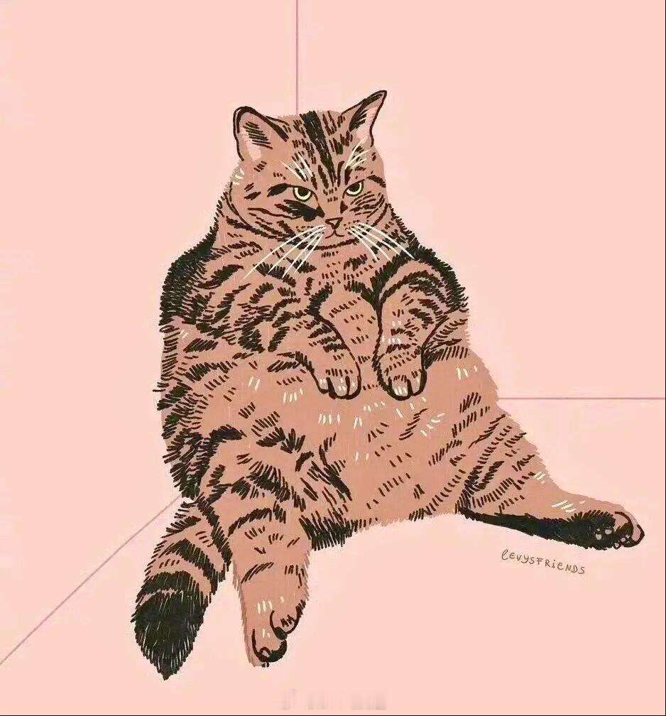 AlissaLevy是一位德籍乌克兰裔插画师，她笔下的猫咪个性十足、温暖又治愈