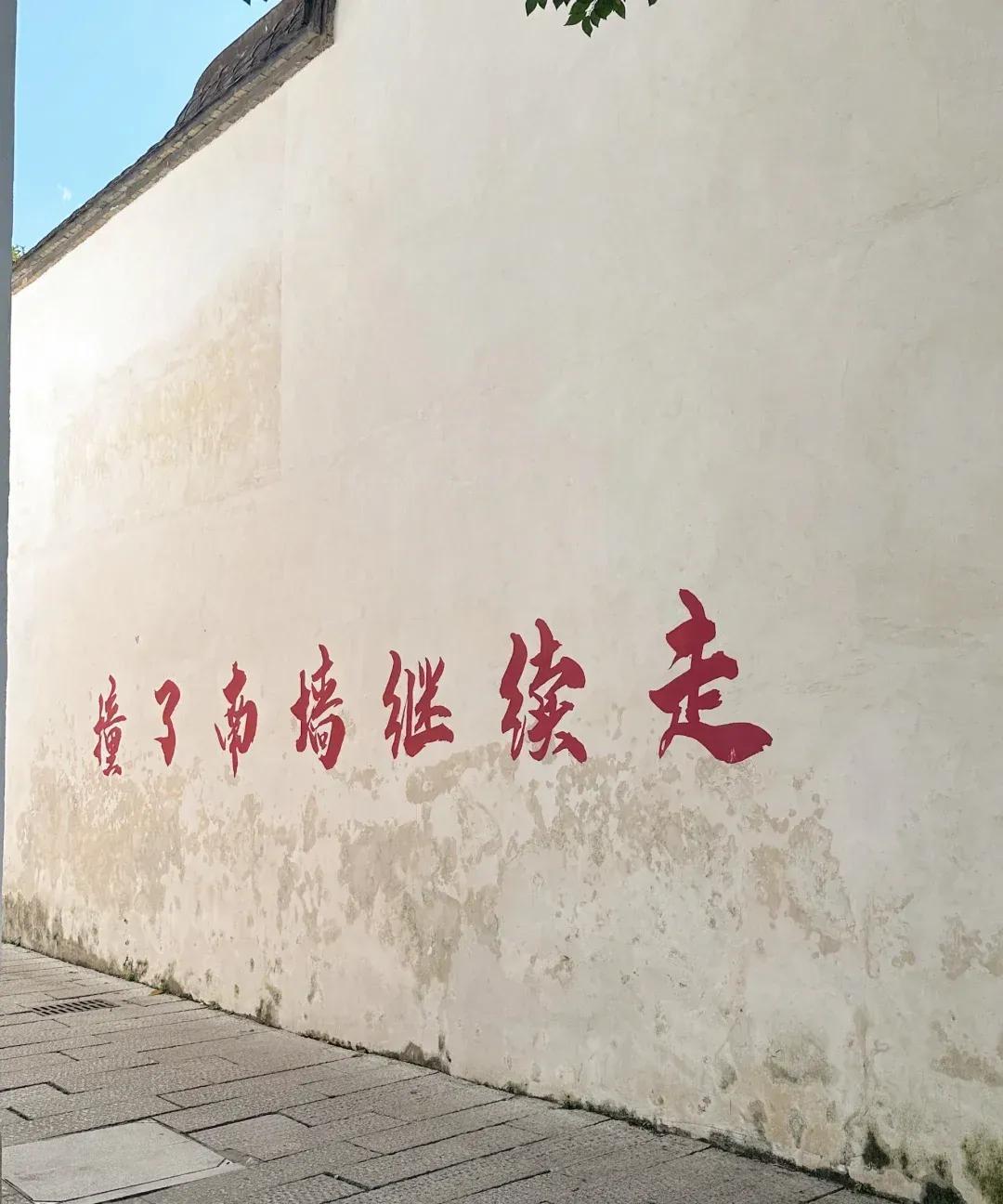 这一段话说得真好：能说服一个人的，从来不是道理，而是南墙。能点醒一个人，从