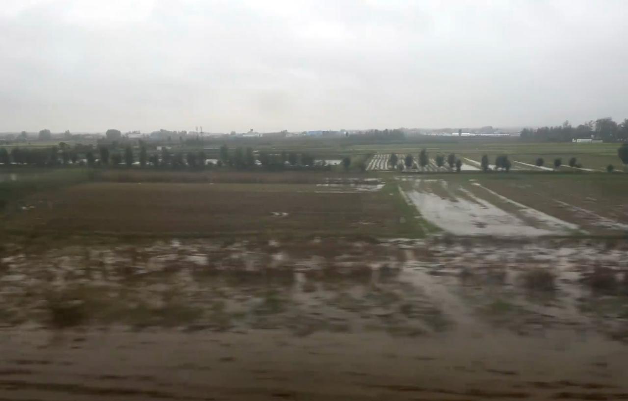 河南的农民，天又塌了。9月的连阴雨和10月依然不绝的雨水，已将中原粮食主产区