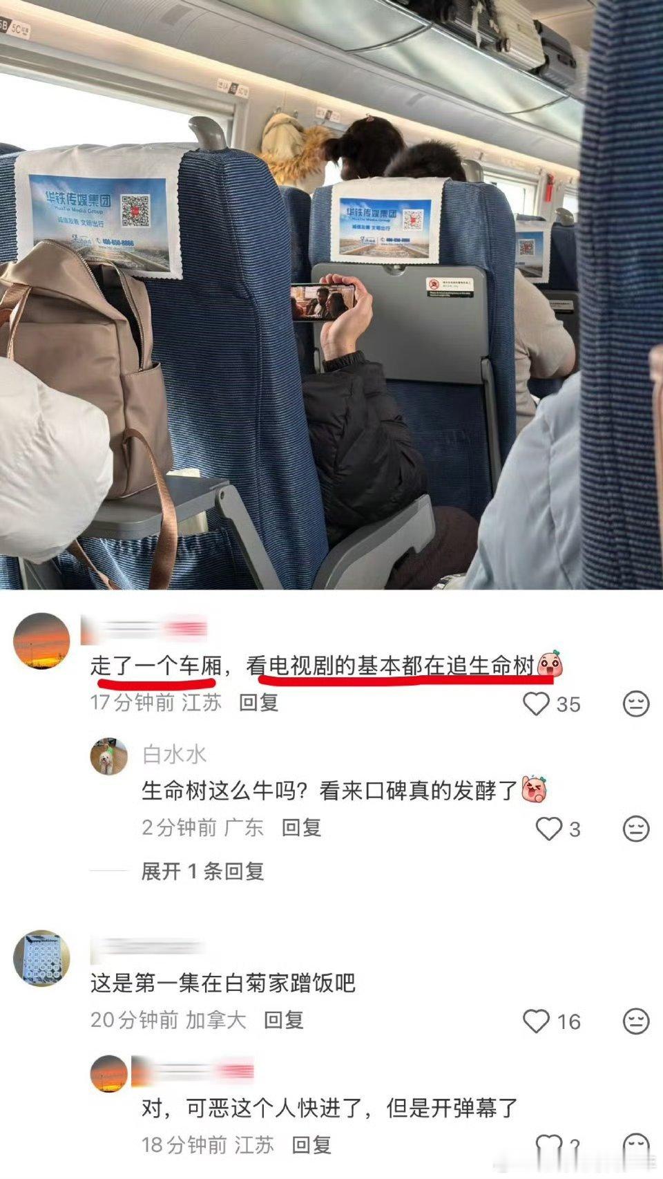这两天就来回坐车了！也没看见有人看生命树啊