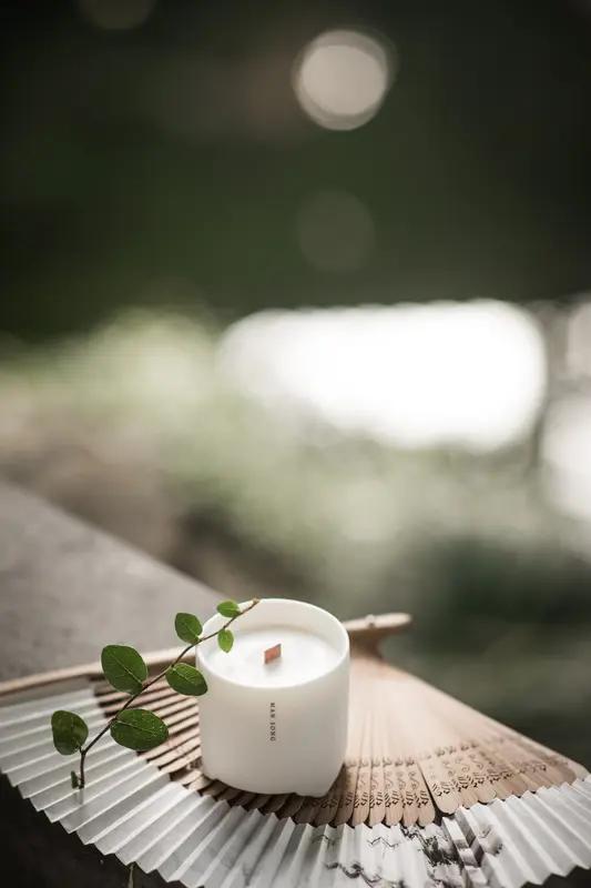 看到“清风本无意”这个上联，一下子来了兴致。对对联不仅讲究对仗工整，还得有巧妙的