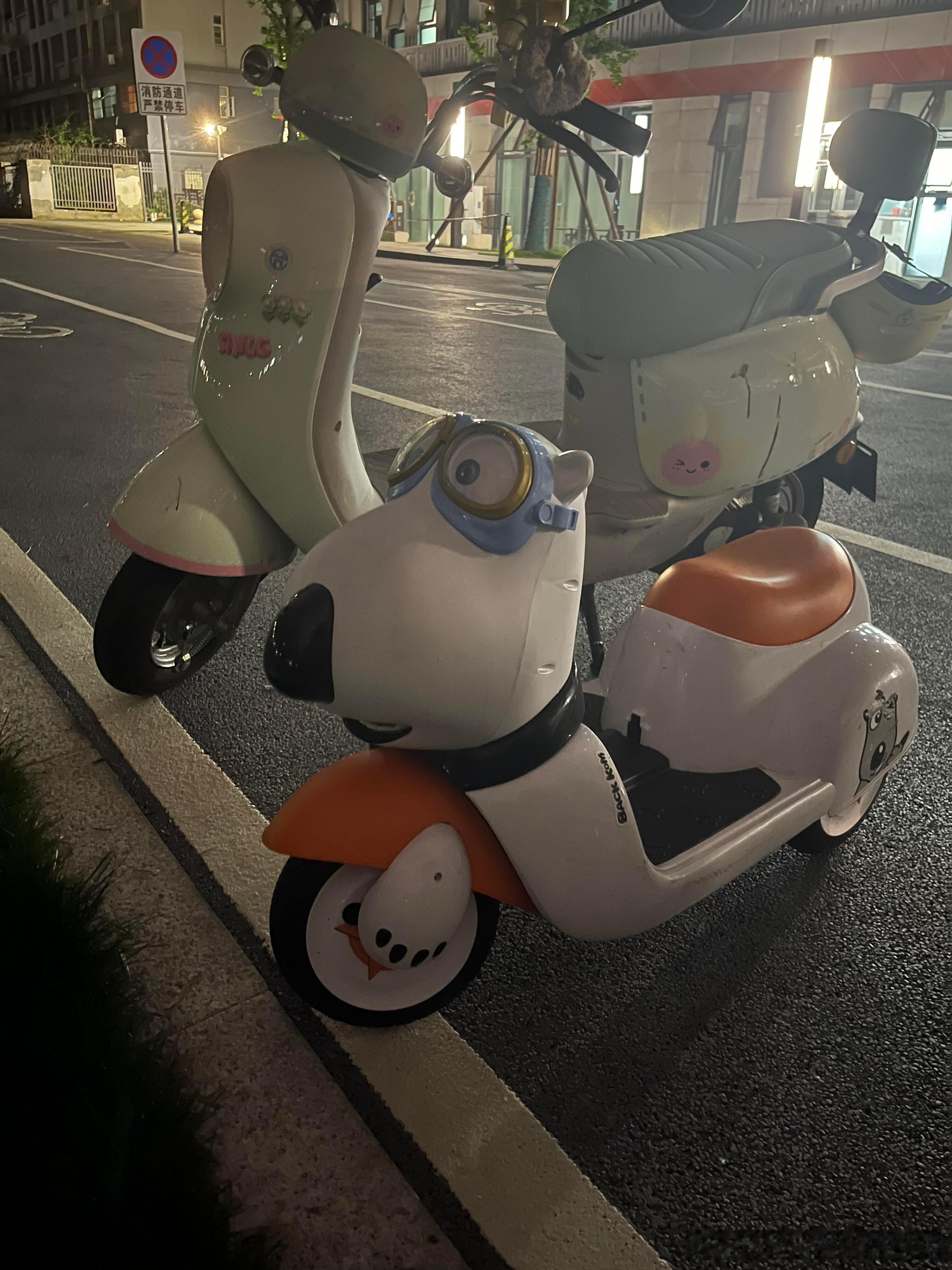博士楼下这是哪位博士的坐骑