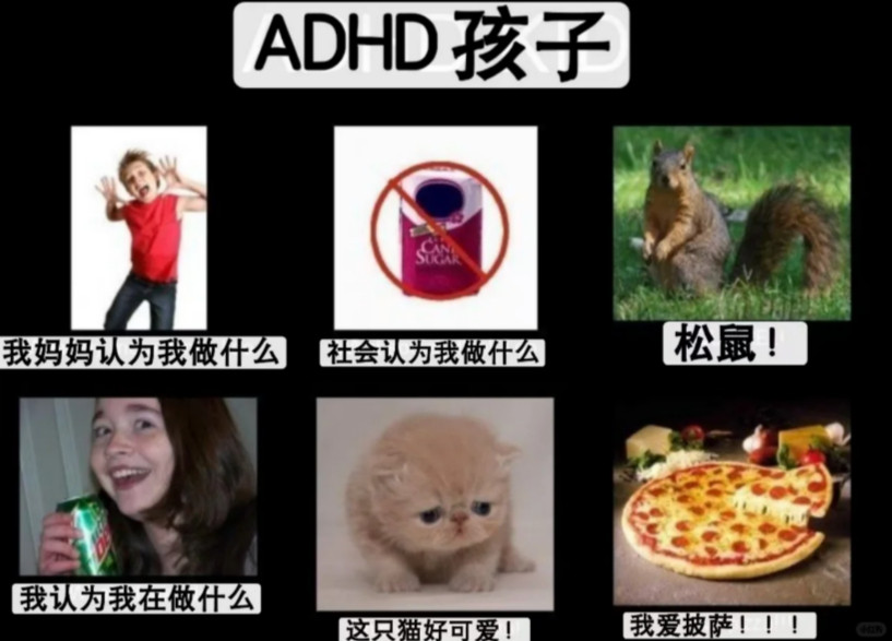好烦但我的脑子就是这样子的比如我有点忘记我一开始打开手机是要干嘛了​​​