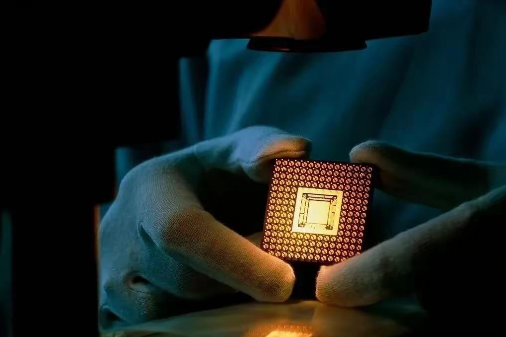 刚刷到荷兰的最新声明，直接看笑了！前阵子还拿