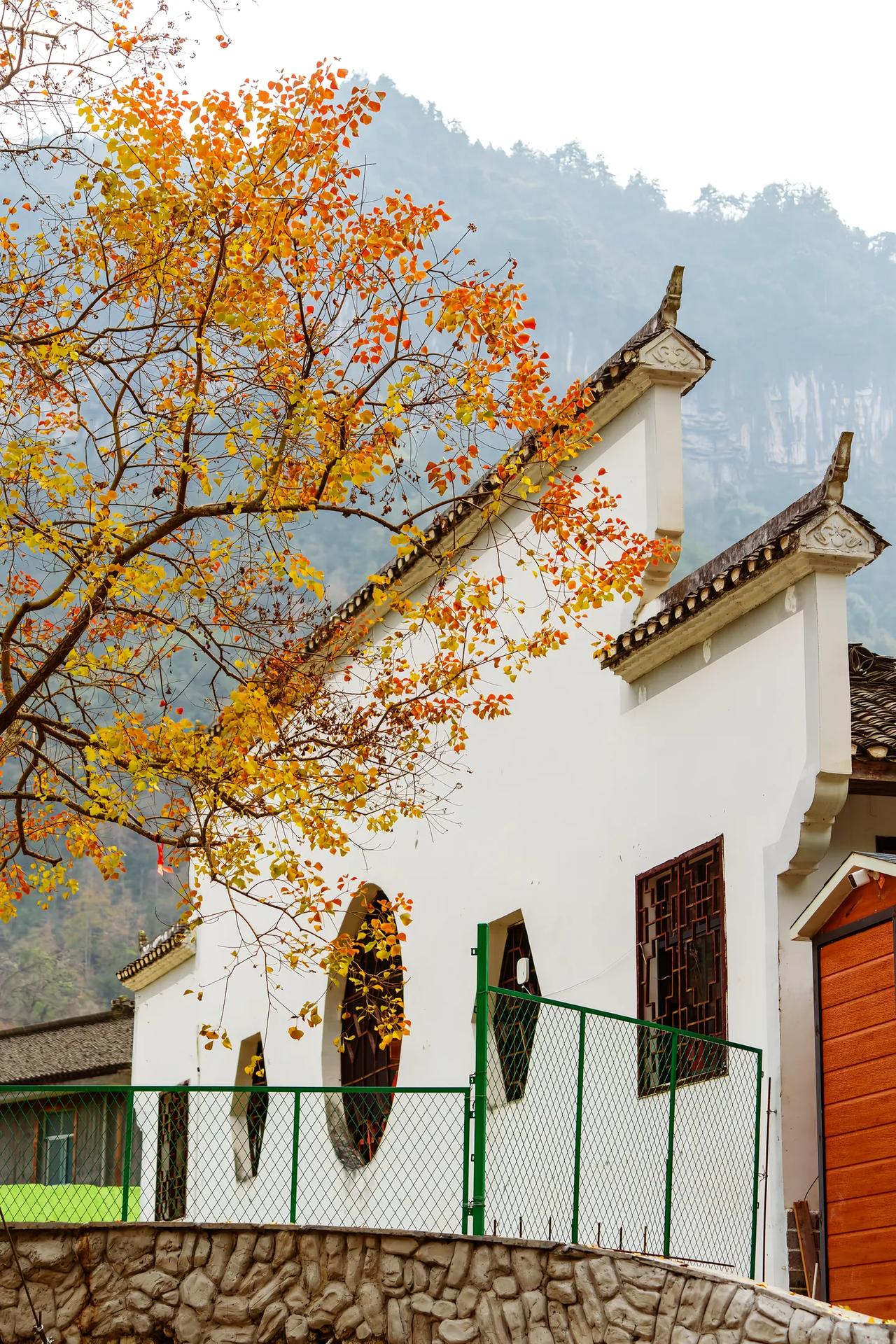 昨天接待了一位高三的学生家长，孩子是理科班的，一所四星级高中，每次孩子的数学成绩