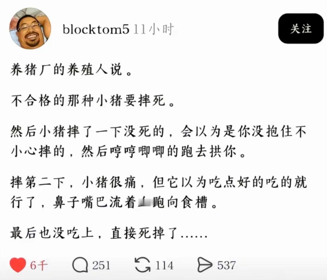 养猪厂的养殖人说。不合格的那种小猪要摔死。然后小猪摔了一下没死的，会以为是你没抱