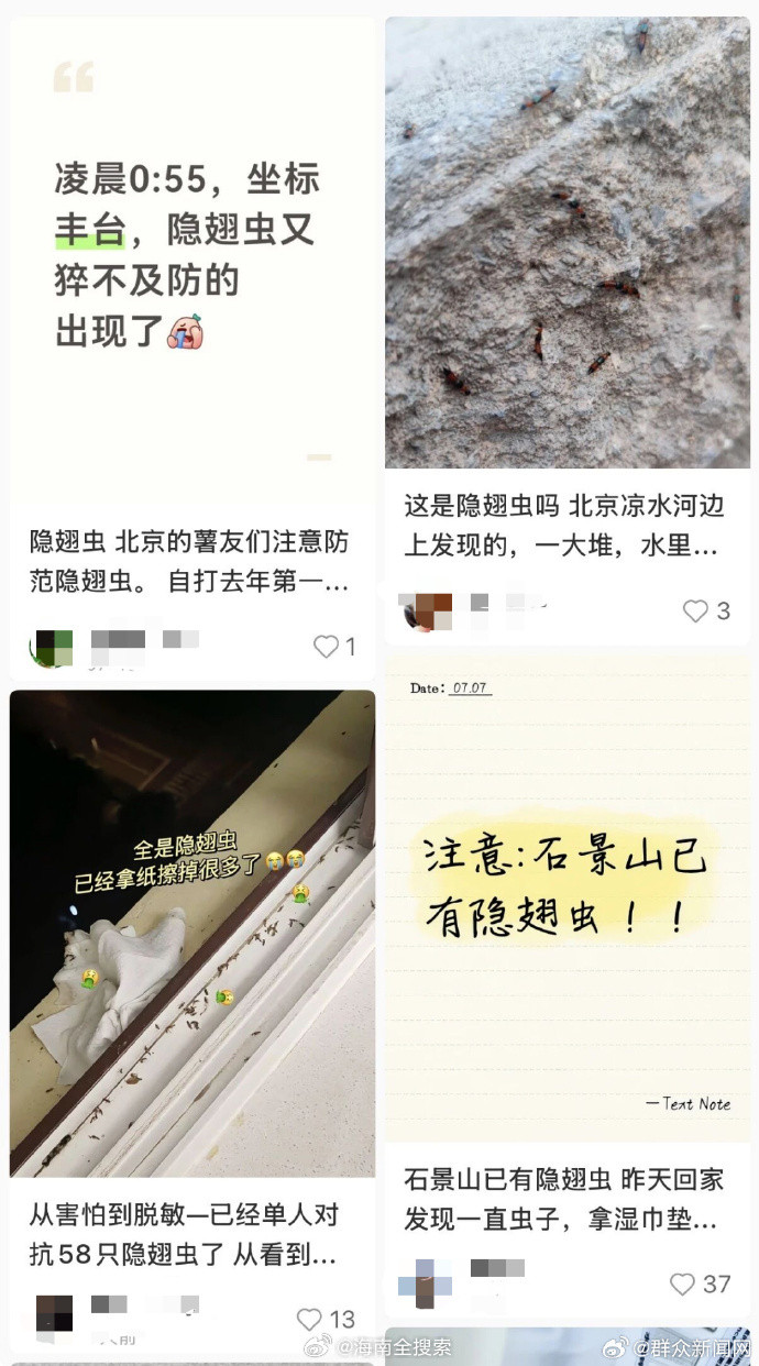 【隐翅虫是飞行的硫酸的说法并不准确】隐翅虫为何频频出现在北方9月16日，隐翅虫被