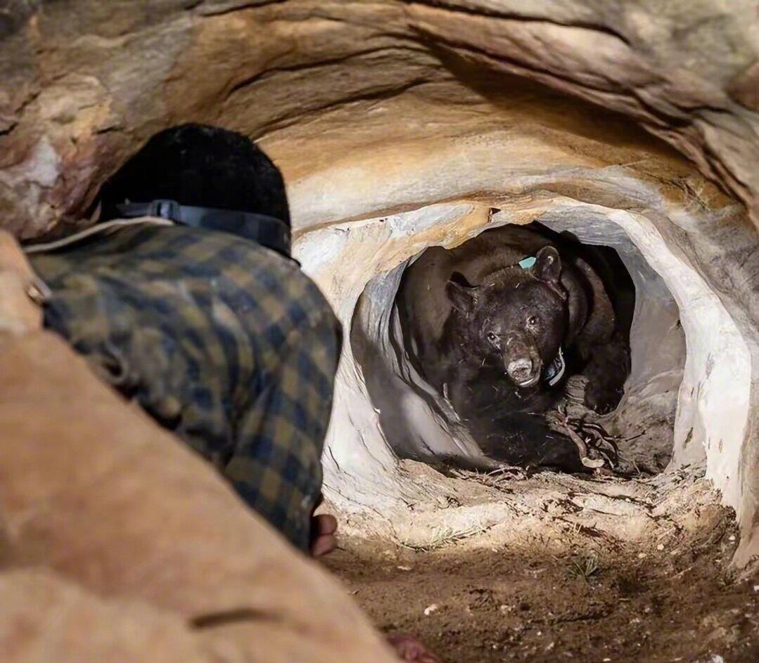 如果这会儿是你，你想对他说点啥？