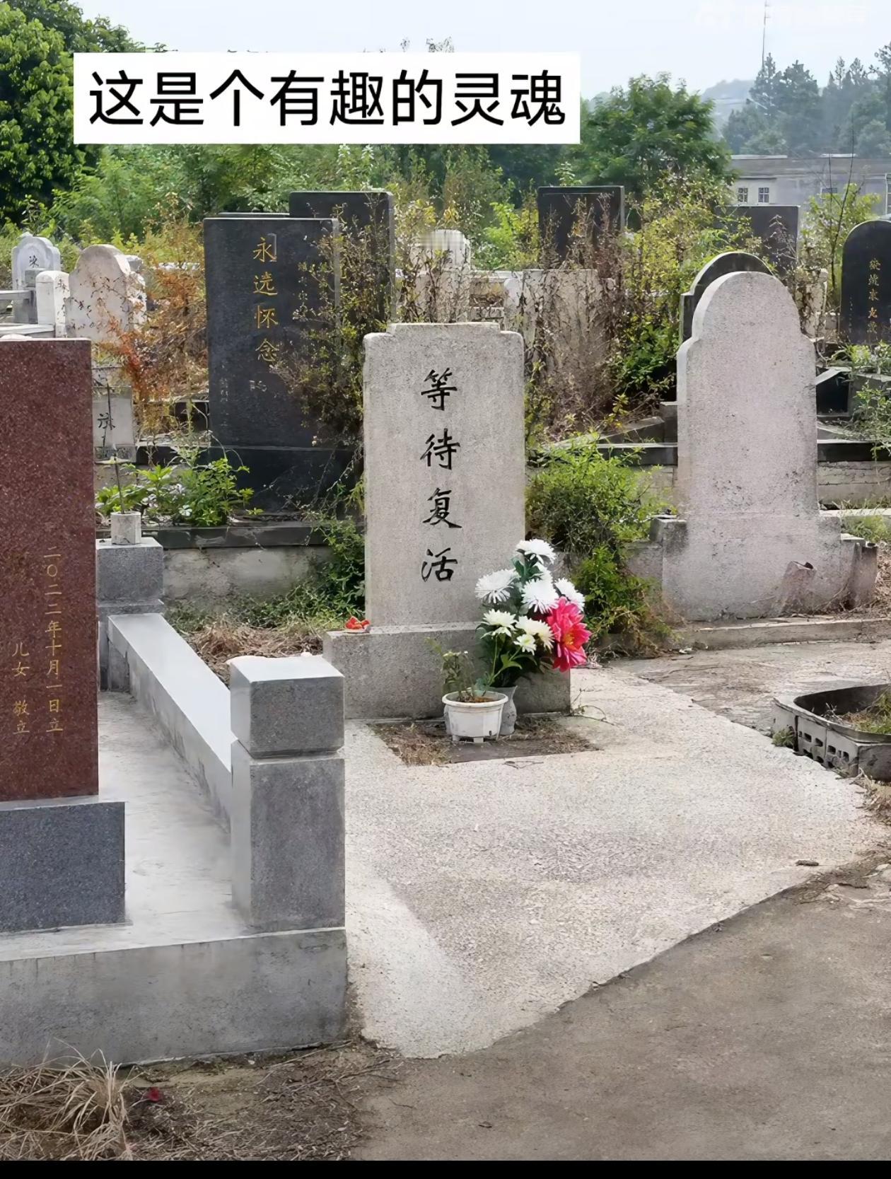 从此这个世界上少了一个有趣的灵魂，多了一个有趣的魂灵！