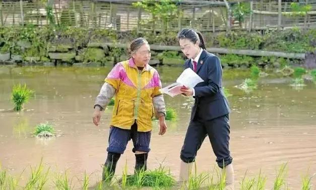 看到渠县那位女法官赤脚站水田的照片，我第一反应不是"接地气"，是心疼！心疼插秧的