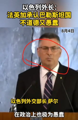 “不道德且极为愚蠢”！就在刚刚，以色列外长公开炮轰英法等国！中国网消息，以色列外