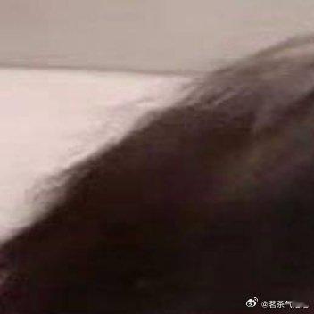 2000陈思罕每日一善每一个清晨苏醒，记得告诉自己：没有奇迹，只有你努力的轨迹