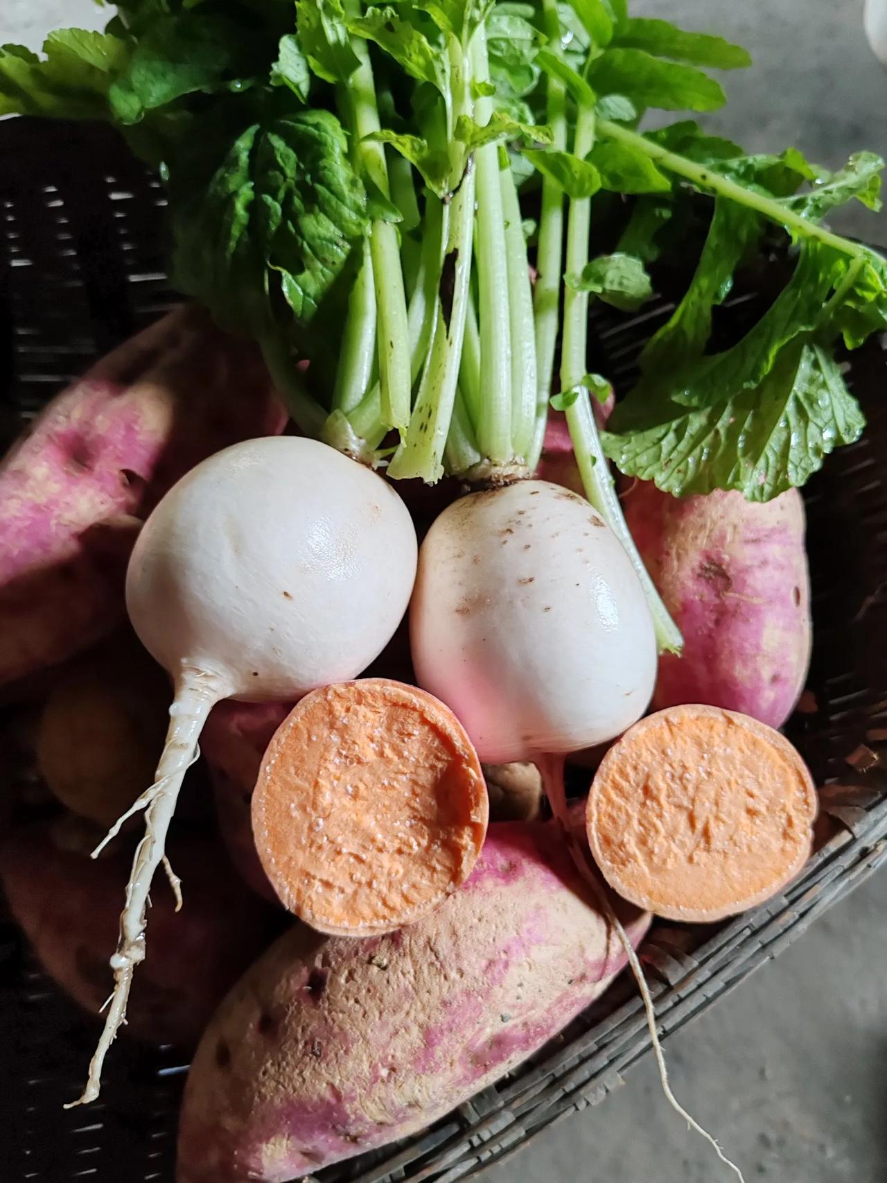秋日生活打卡季萝卜青菜,各有所爱。自家种的萝卜和红苕你喜欢哪个