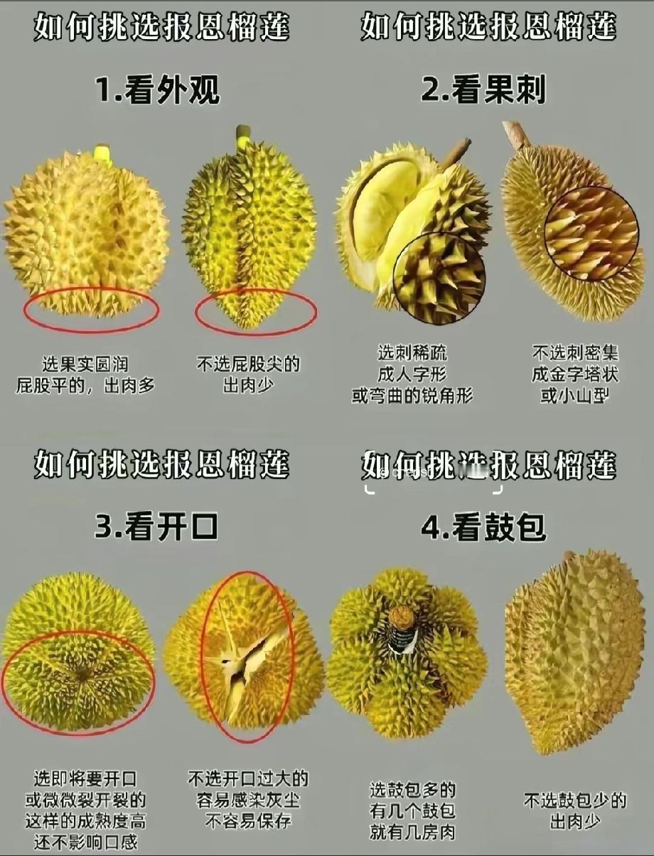 榴莲好吃吗？回来路上看到有卖榴莲的，问了一下价格26块8一斤，有一家人开着