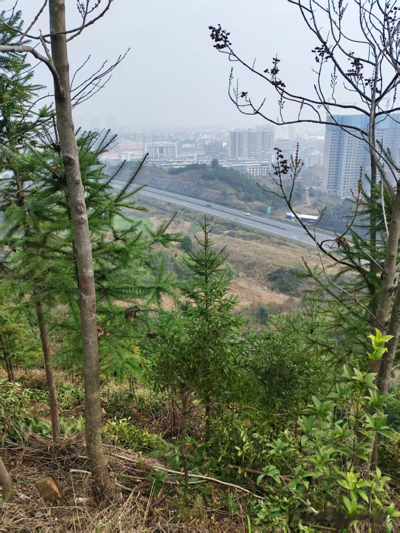 儿子叫我把旧房子卖了，跟他们一起住，他们为我养老，我很激动，我儿子终于知道心疼妈