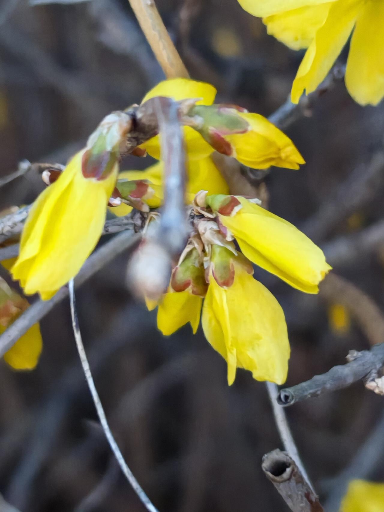 与痛风斗争的历程207今早醒来，浑身关节状态都不错，左膝和左肩没有明