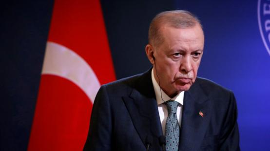 2025年最后一天晚上的深夜，土耳其可谓是突然对中国发大招，埃尔多安正式签署总统