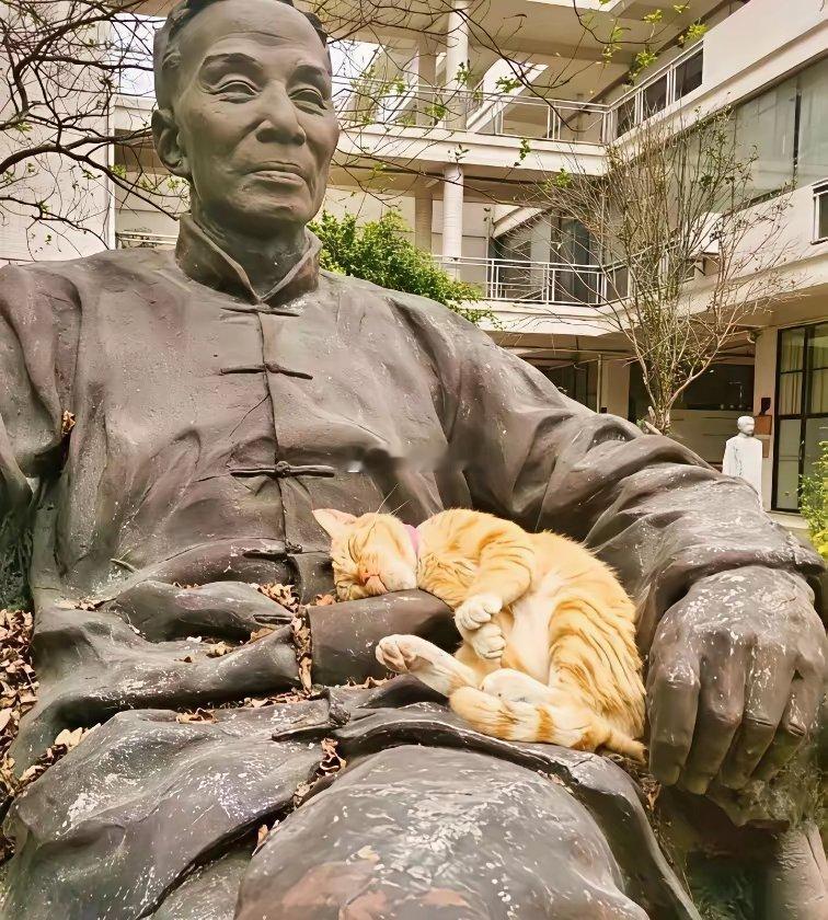有了猫，连雕像好像都有了生命