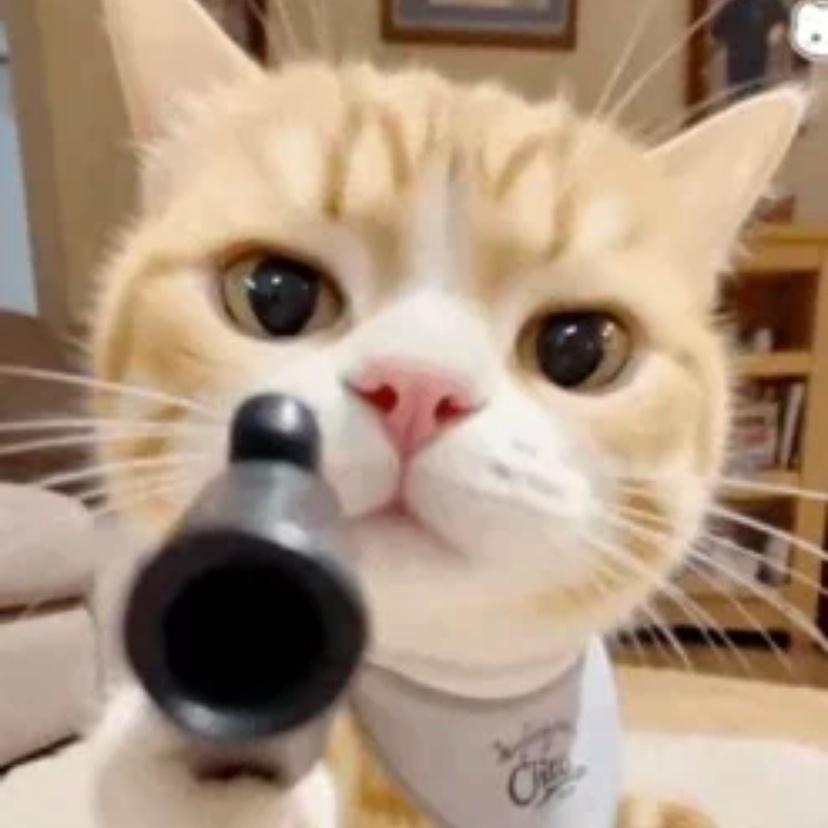 不要同情加害者，他做那件事情之前怎么不想想会有什么后果？