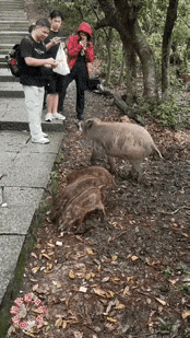 这就尴尬了。