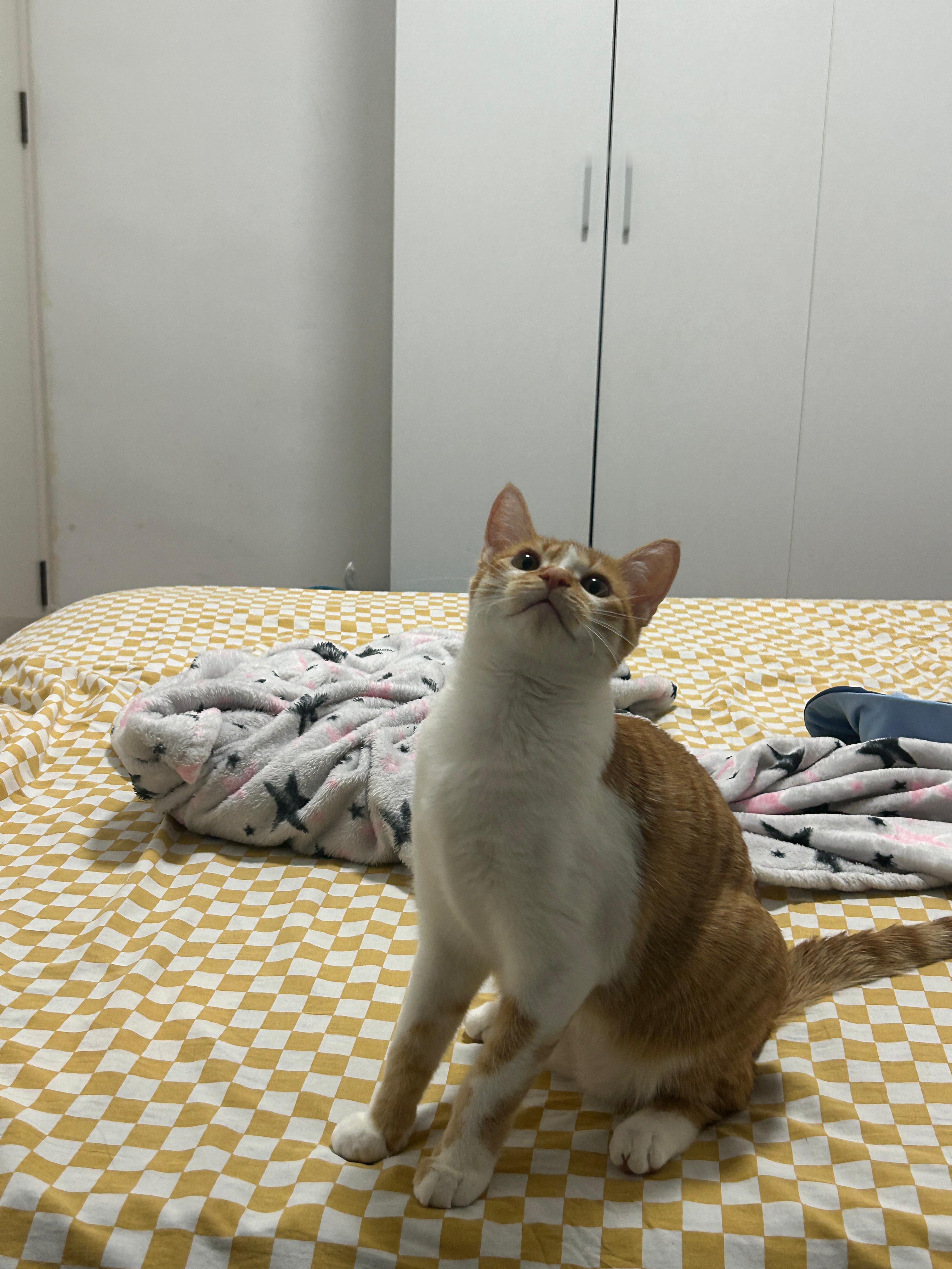 小宝宝(*^^*)​​​