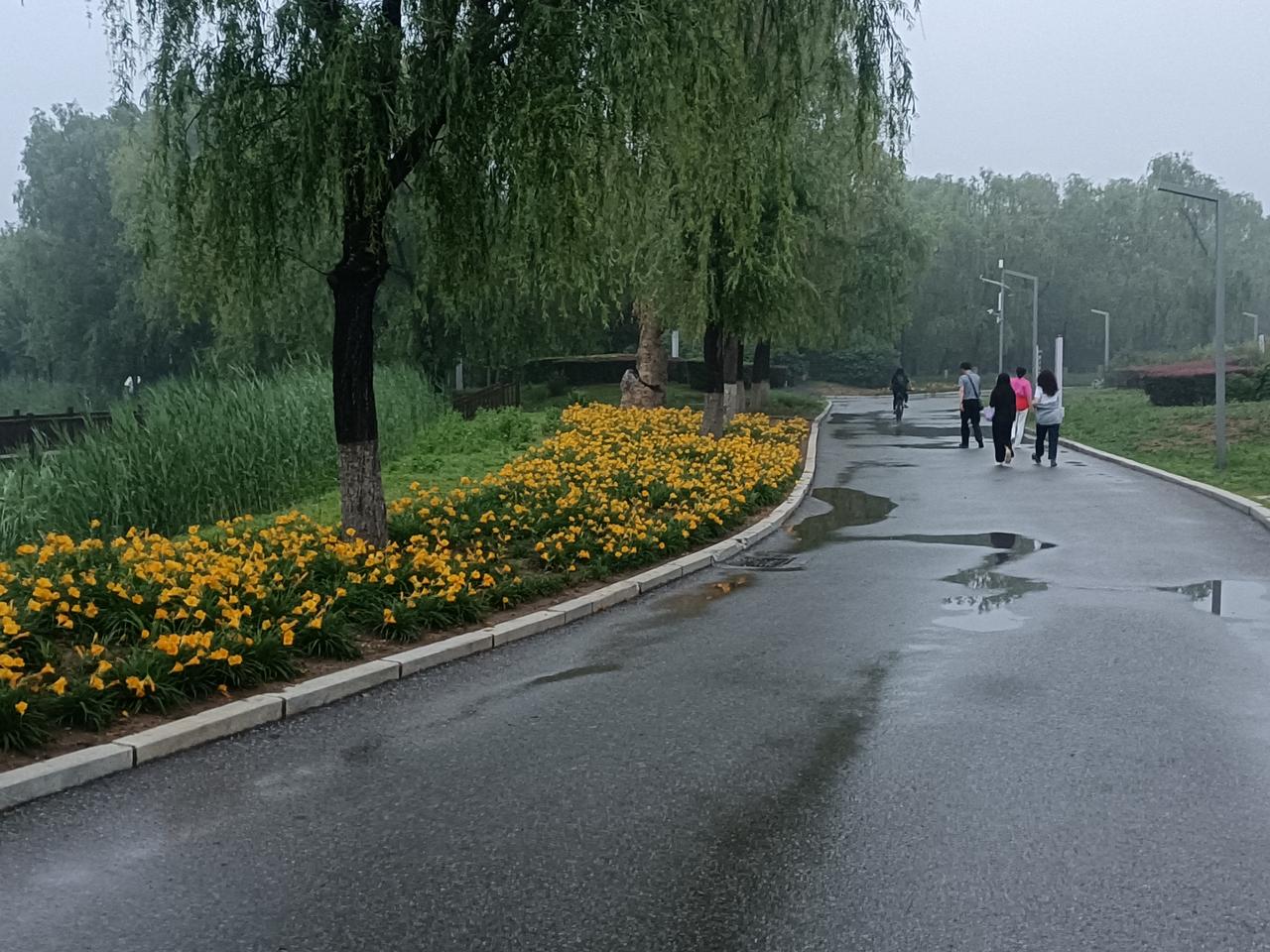 人一旦觉醒，会变得非常恐怖———高手是没有情绪的。动不动就生气的人，没有一个