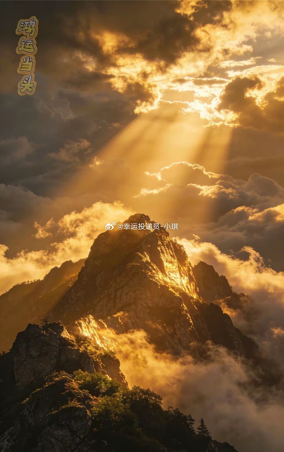 2026年3月19日沪深龙虎榜净流入Top101. 净流入榜首（第1名）：东方国