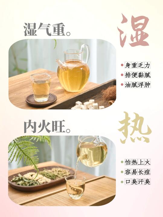 湿热体质｜油腻犯困易上火，湿气淤积+火气旺