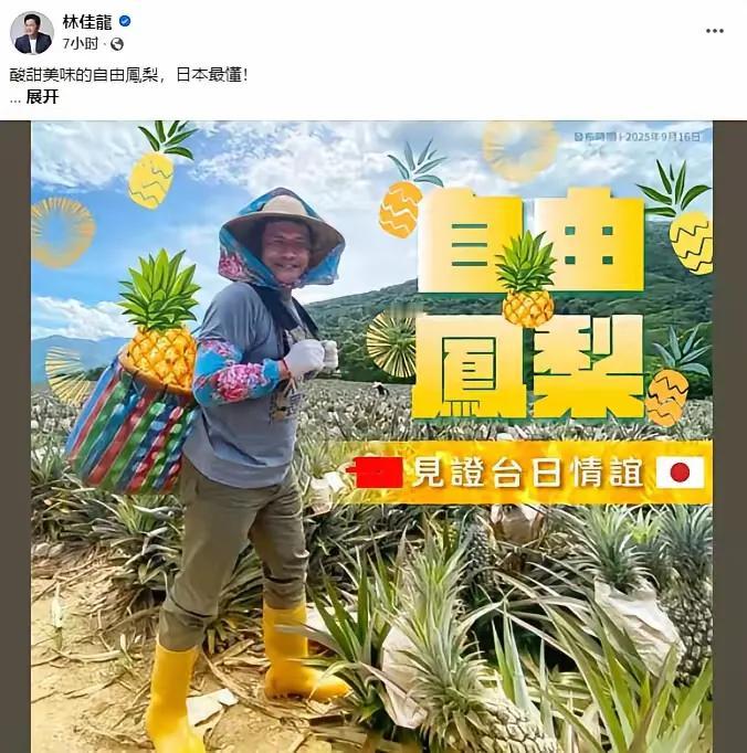台外事部门负责人林佳龙说，“日本“几乎把台湾今年外销的凤梨全包了，日本前首相安倍