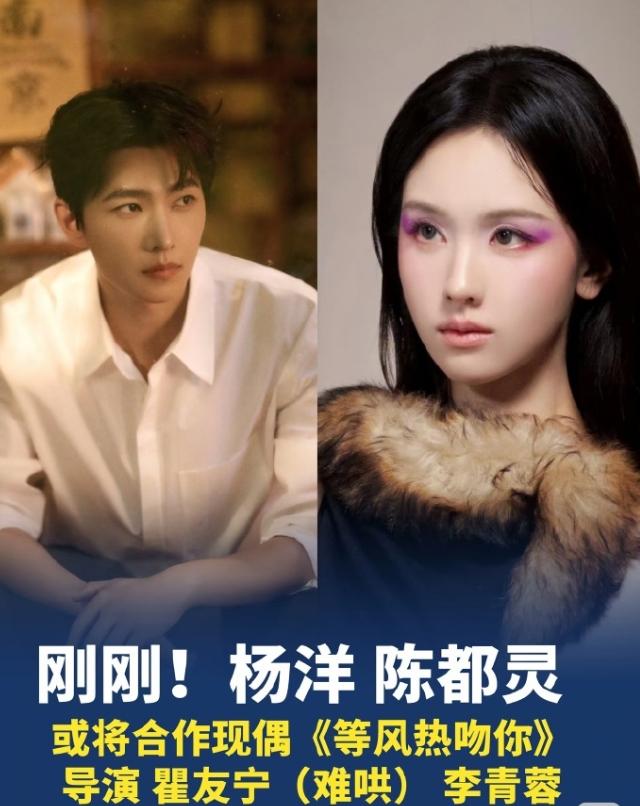 杨洋陈都灵巨饼《等风热吻你》！天才法医和明女明星，杨洋和陈都灵，其实算是很搭，