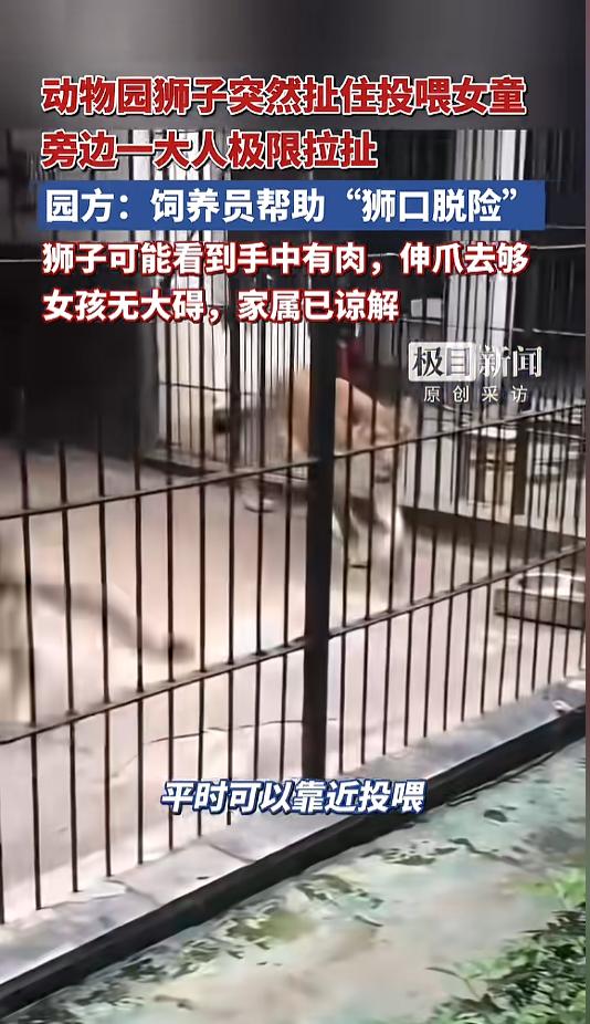 “惊险一刻！”近日，广东汕头，某动物园里发生了让人揪心的一幕。一女童在准备投喂时