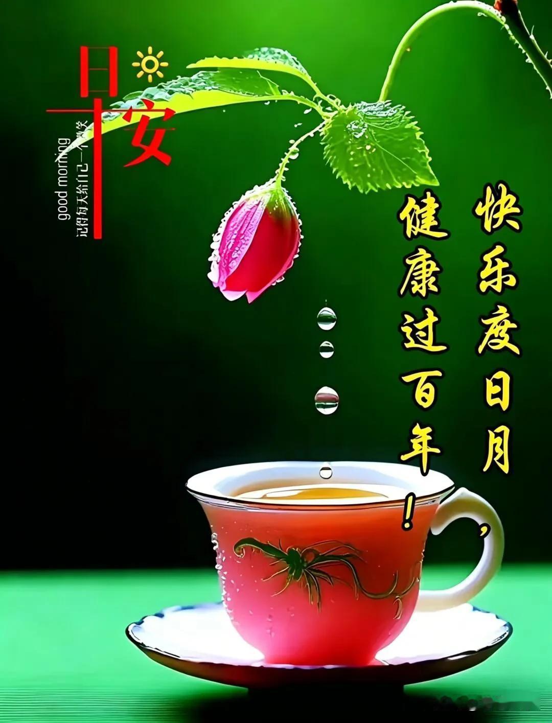 清晨有暖阳，人间有温柔，祝你早安，万事皆顺意🌷