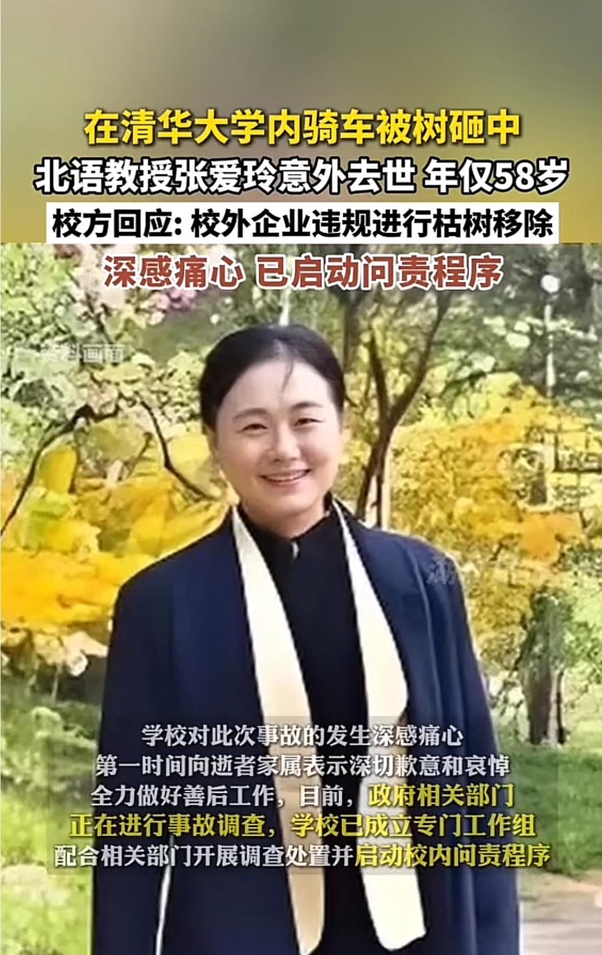 张爱玲的女儿：妈妈，妈妈，注意头顶，注意头顶！砰…的一声，树枝被修剪员用锯木刀切