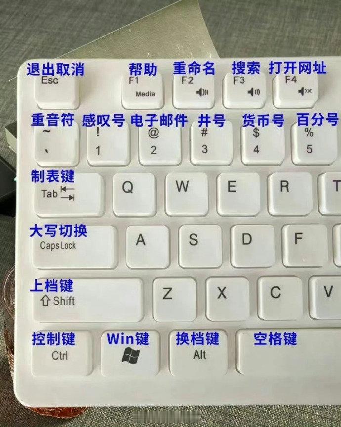 为什么刚开始学电脑的时候没人告诉我