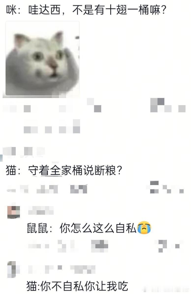 猫猫问题不大，最多鼠鼠吃点亏