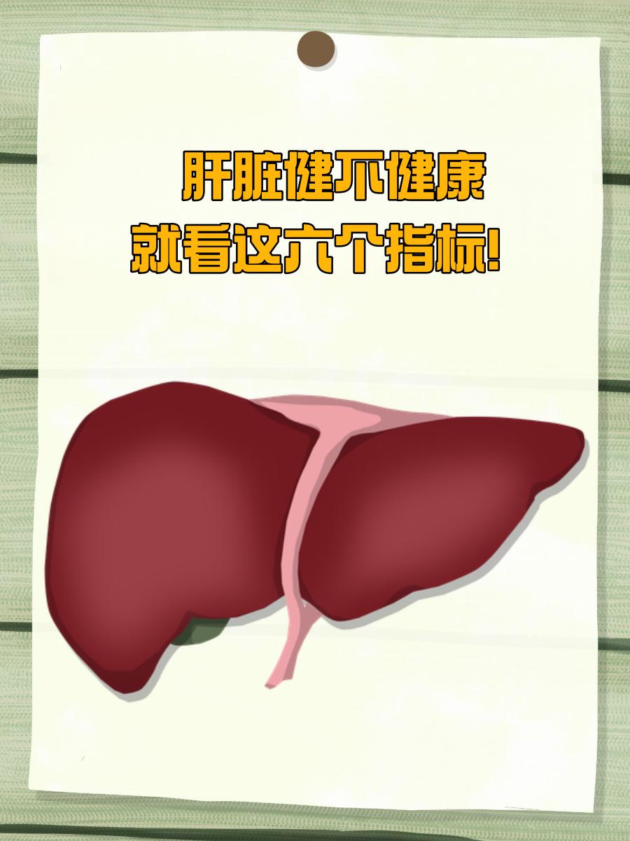 肝脏健不健康，就看这六个指标！肝脏作为人体重要的“解毒工厂”，其健康至关重要。
