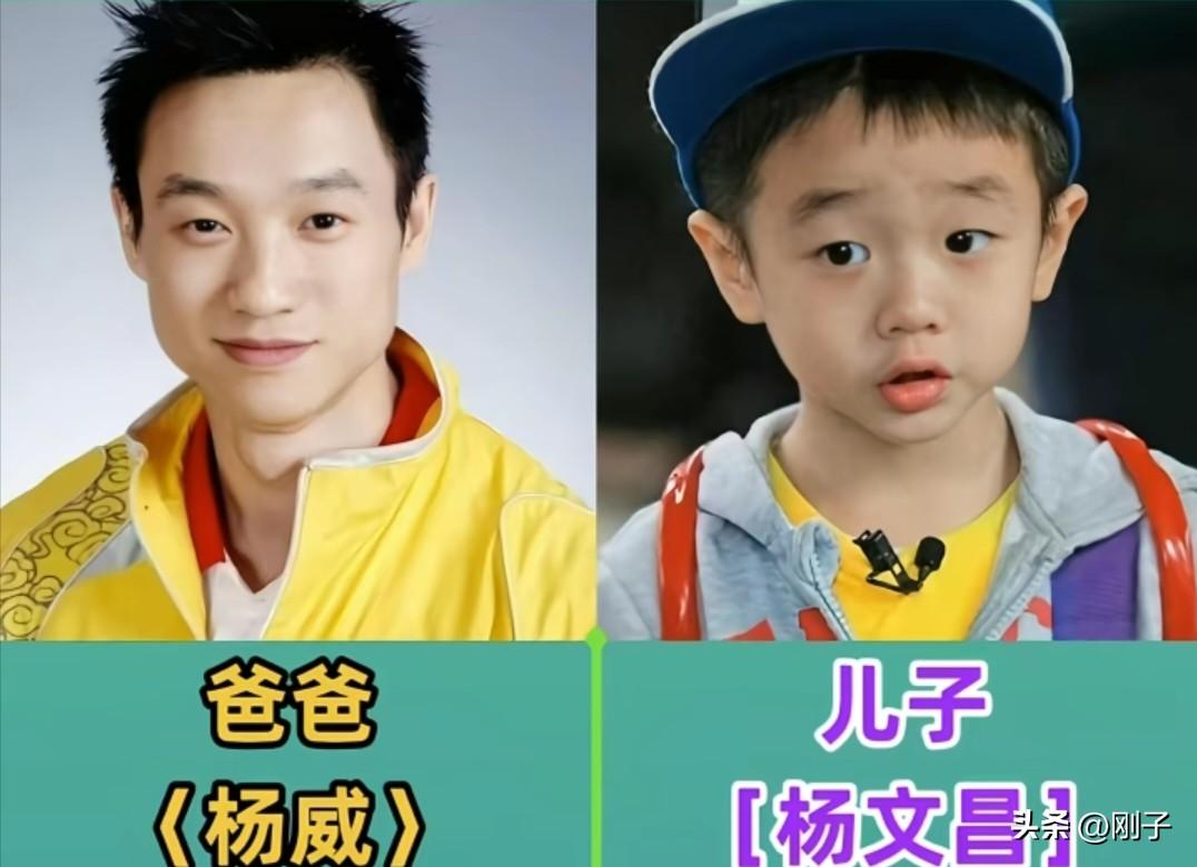从赛场传奇到为人父母，这些体坛冠军的孩子们，完美复刻了爸妈的优秀基因。杨威