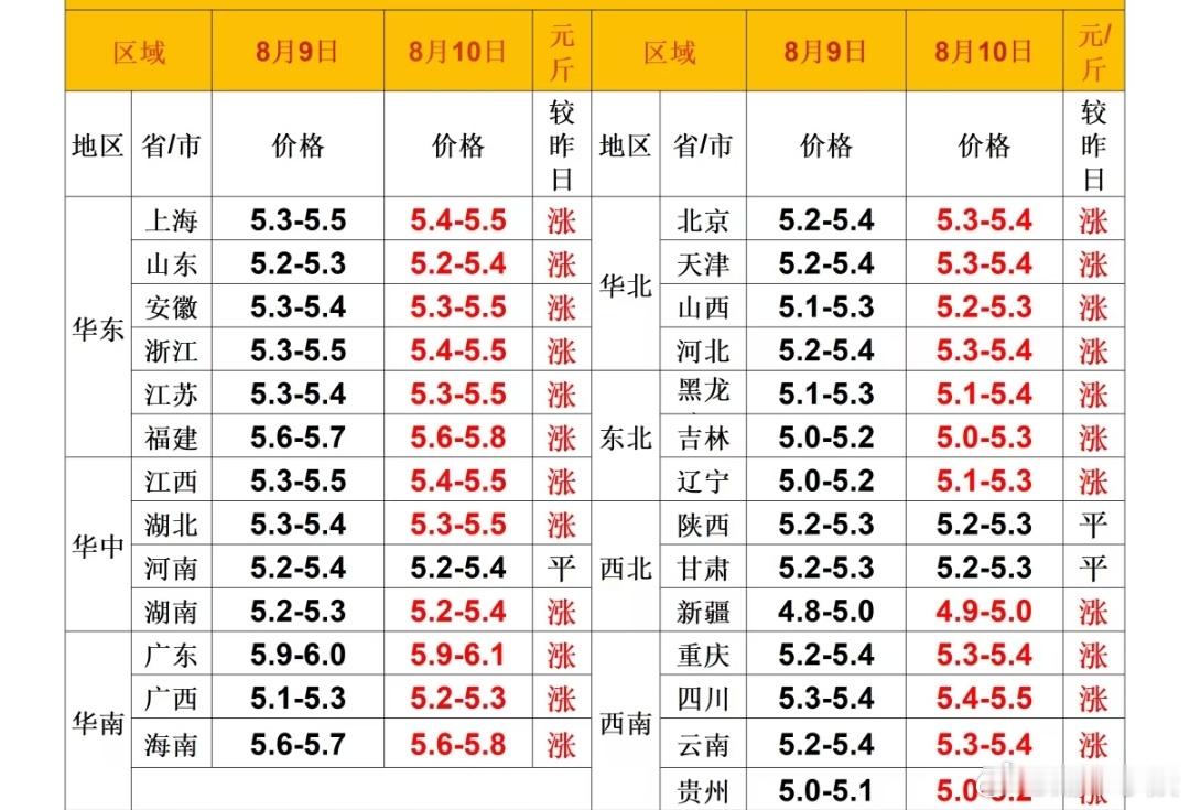 每日猪价