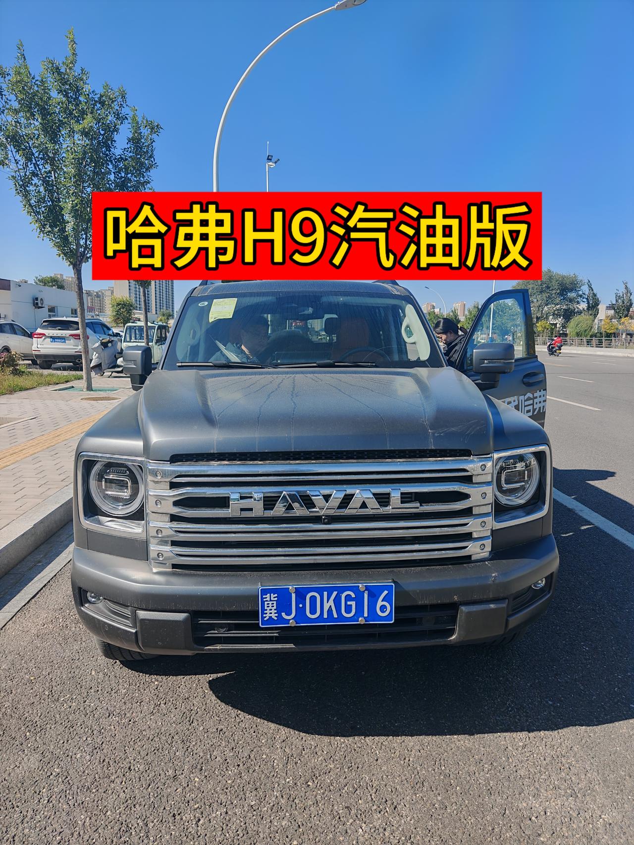 今天想去试驾猛龙的,结果去错店了,这里只卖纯燃油哈弗,没有混动,打着不能白来的心