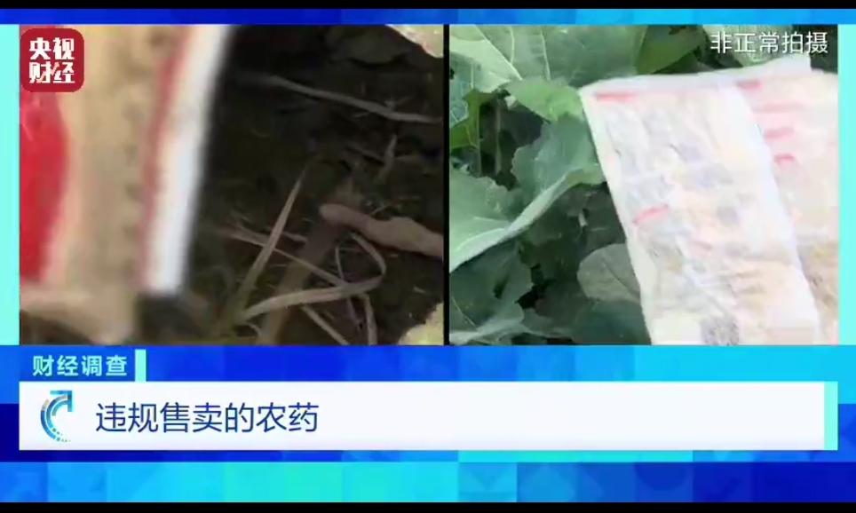 藏不住了，爆黑幕！2026年1月18日21时18分北京，央视财经曝光：菜商违规