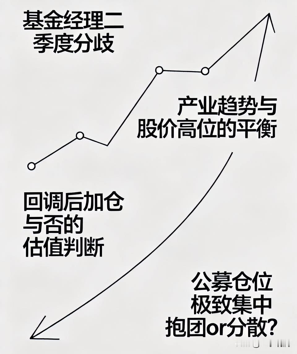 基金经理二季度这个分歧挺有意思。朱少醒重仓中际旭创，周蔚文重仓沪电股份，范妍