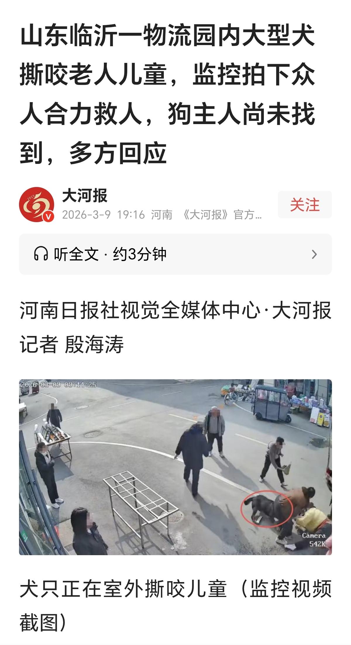 还有人相信狗不咬人吗？一条没拴绳的狗先是撕咬老人怀里的孩子，被驱散后，狗又追进店