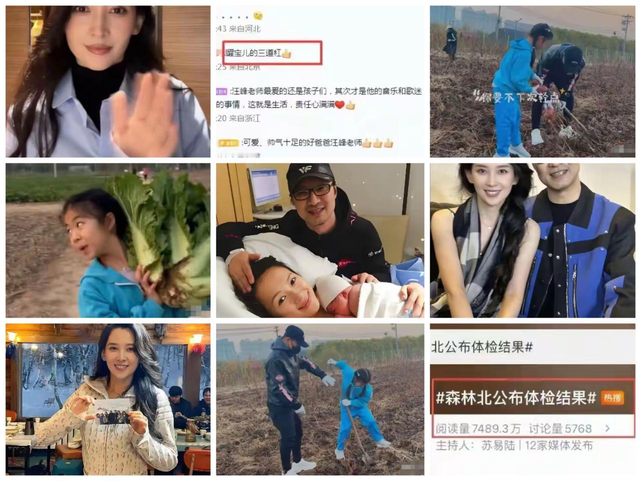 森林被掀了里子，汪峰也不给面子，直接发视频打脸，章子怡躺赢了这波舆论太极打得真是