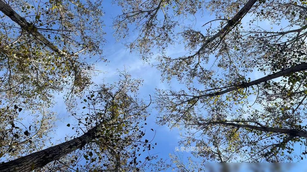 朱芊曦把孙颖莎逼到12：11，韩乒的底牌亮了一半。第二局局末，朱芊曦攥拍的指