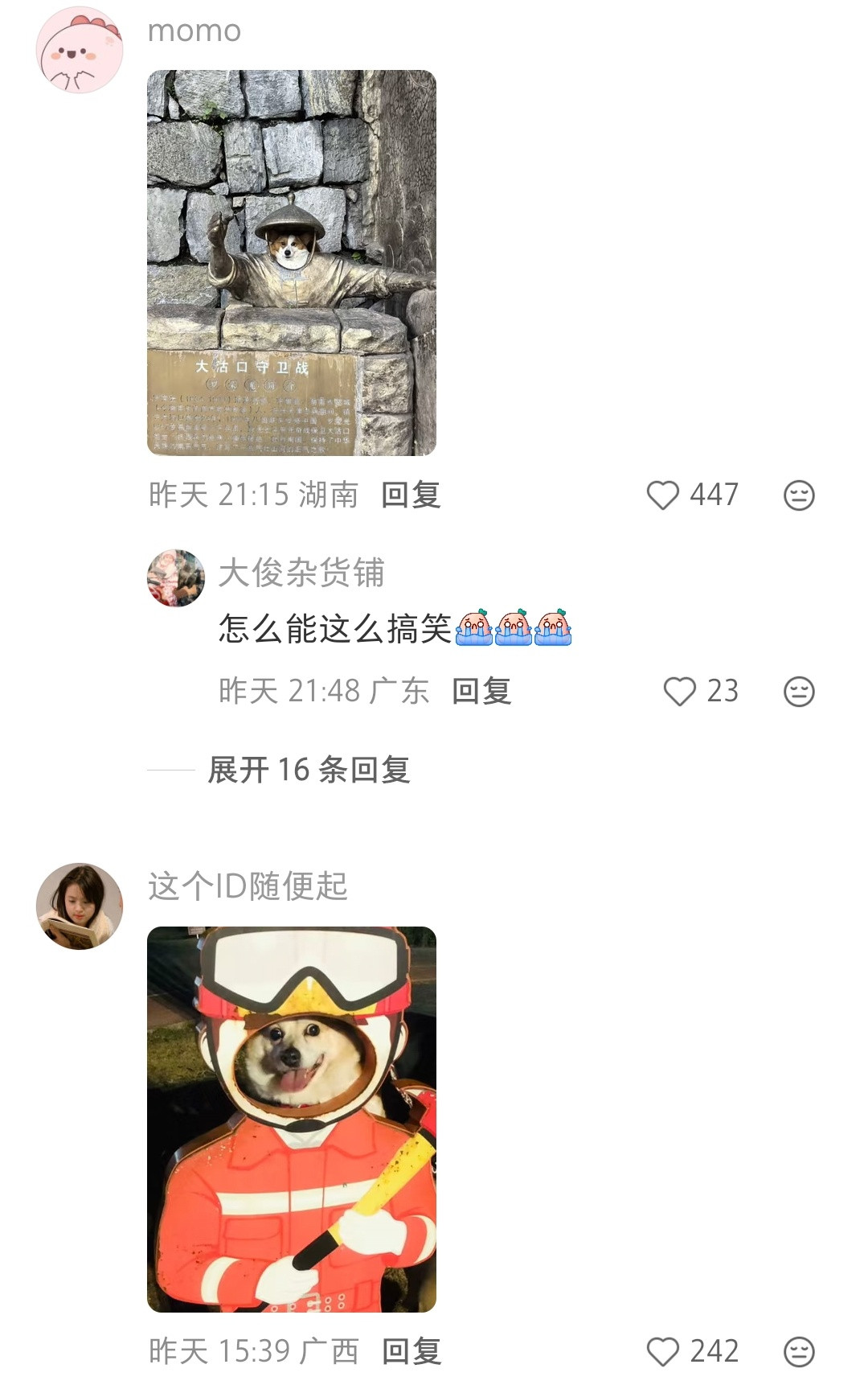 狗子好适配这种拍照方式[笑着哭]​​​
